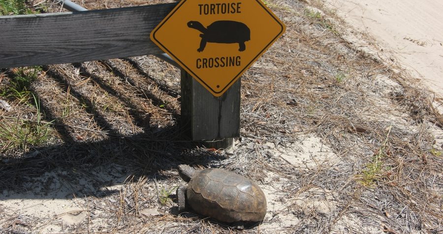Ashton Biological Preserve